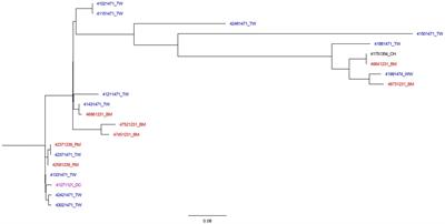 High diversity of Salmonella spp. from children with diarrhea, food, and environmental sources in Kilimanjaro – Tanzania: one health approach